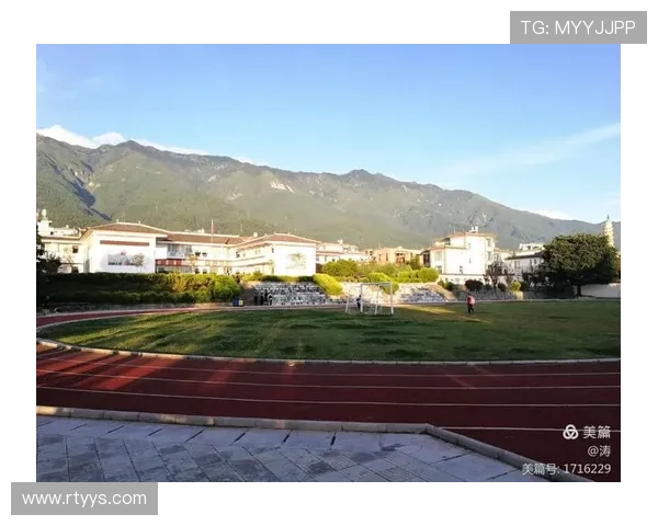 跆拳道宋丹：全力以赴拼搏奋进中国队勇往直前展现顽强精神